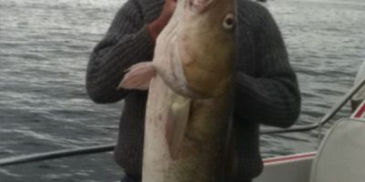 Bernard McKever - 42 lb 7 oz cod.JPG